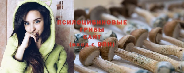 индика Верхнеуральск