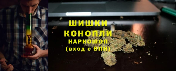индика Верхнеуральск