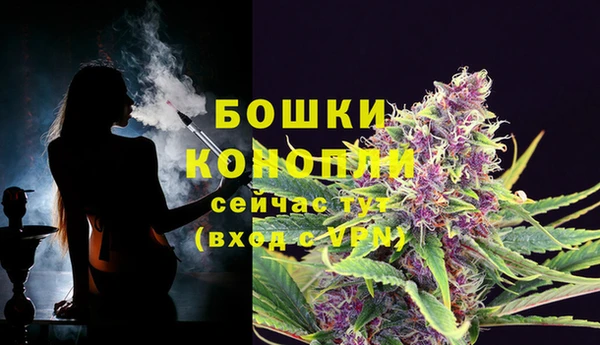 стафф Верхний Тагил