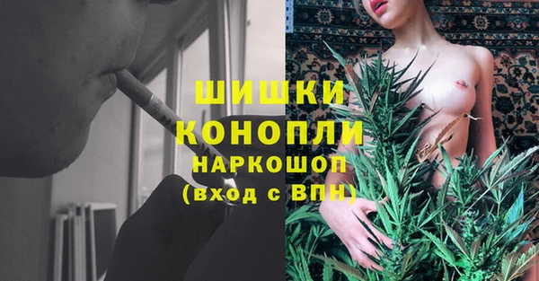 стафф Верхний Тагил