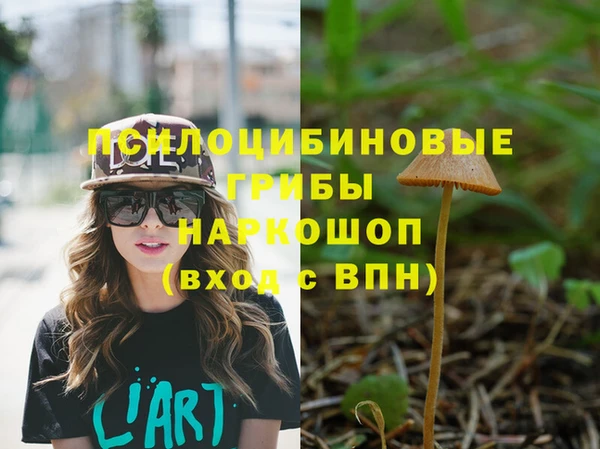 индика Верхнеуральск