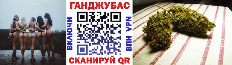 Марихуана план  где продают наркотики  Камень-на-Оби 